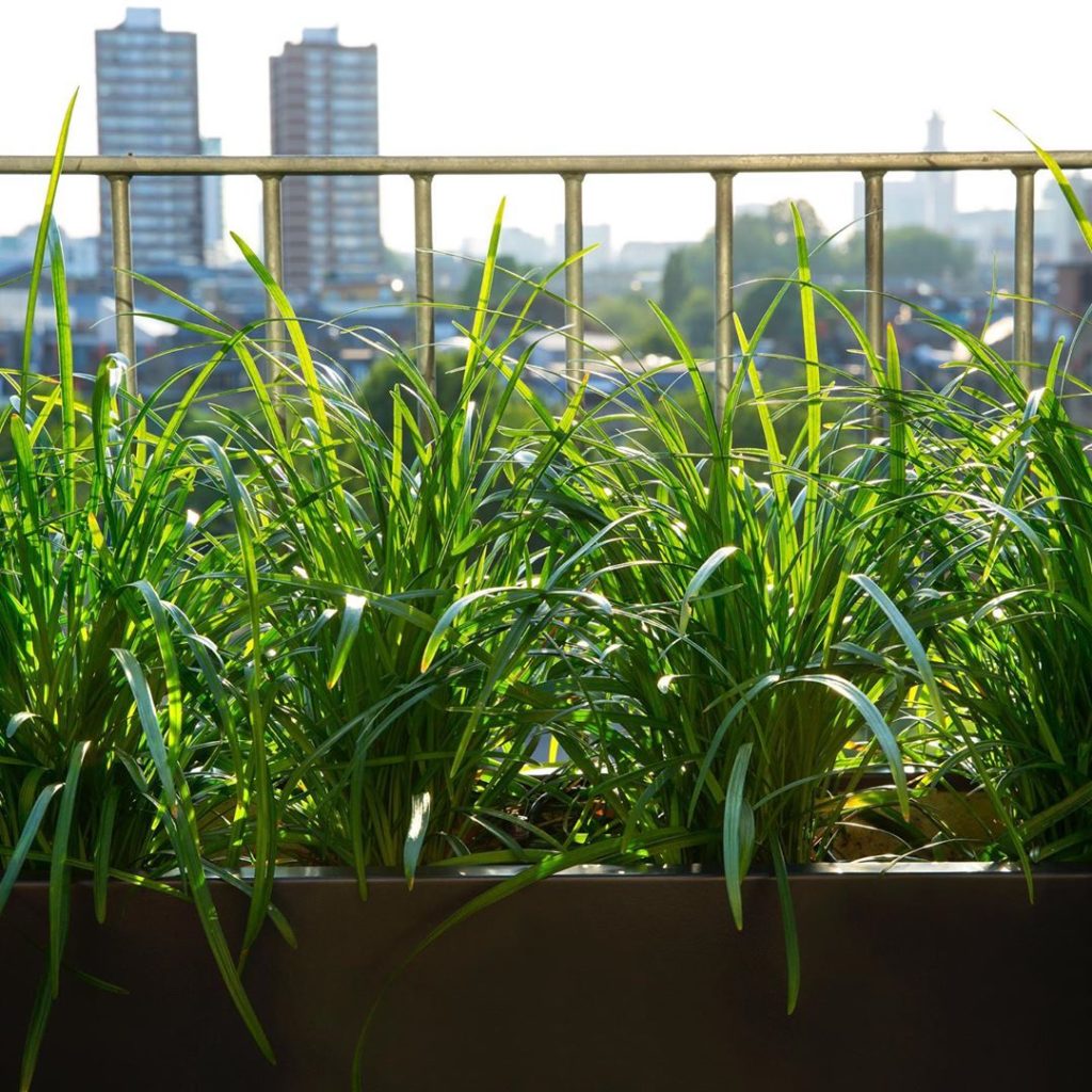 Even if you are confined to an apartment in a #city with only a small #roofterra...