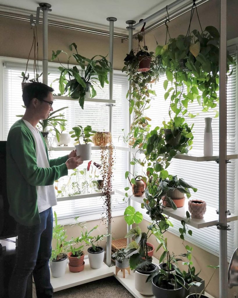 houseplantjournal: Part 2 of the @verdealcove Houseplant Tour – link in profile!
~
~
#houseplantjou… Part 2 of the @verdealcove Houseplant Tour - link in profile!
~
~
#houseplantjou...