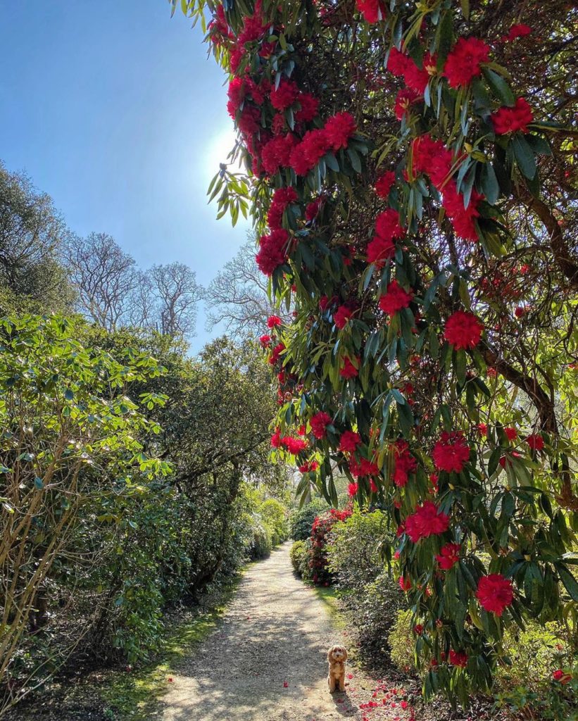 Untrodden paths ahead - we take each step : one by one : day by day ......