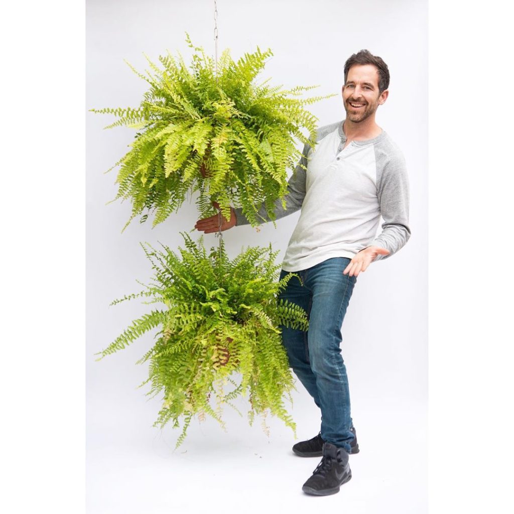 Levitate your sword ferns with SkyPots  An all-new way to hang and connect your ...