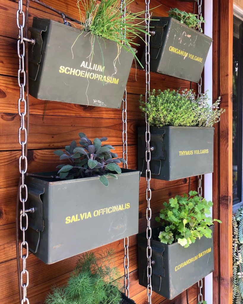 thehorticult: Herbs not ammo! We love repurposing ammo cans into narrow containers great for v… Herbs not ammo! We love repurposing ammo cans into narrow containers great for v...