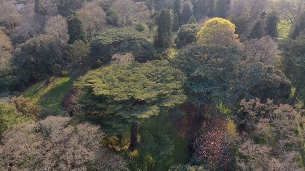 marielouiseagius: The depth and breadth of #tree #canopy in the #Gardens is #amazing – particular… The depth and breadth of #tree #canopy in the #Gardens is #amazing - particular...