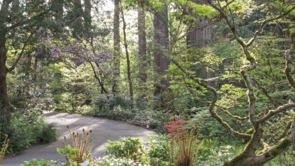 gardendesignmag: Take a look inside the Elisabeth C Miller Botanical Garden in Seattle.
.
What bo… Take a look inside the Elisabeth C Miller Botanical Garden in Seattle.
.
What bo...