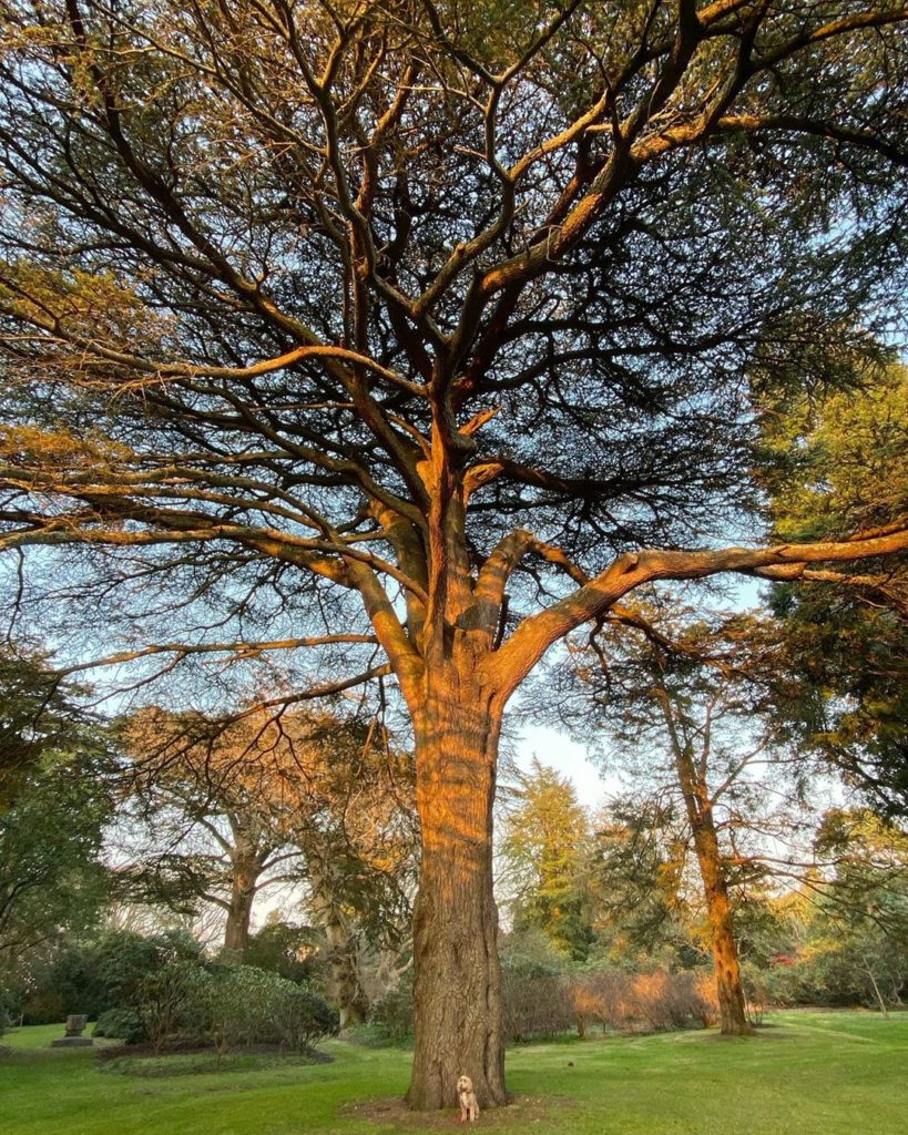 Heavenly evening light ...
