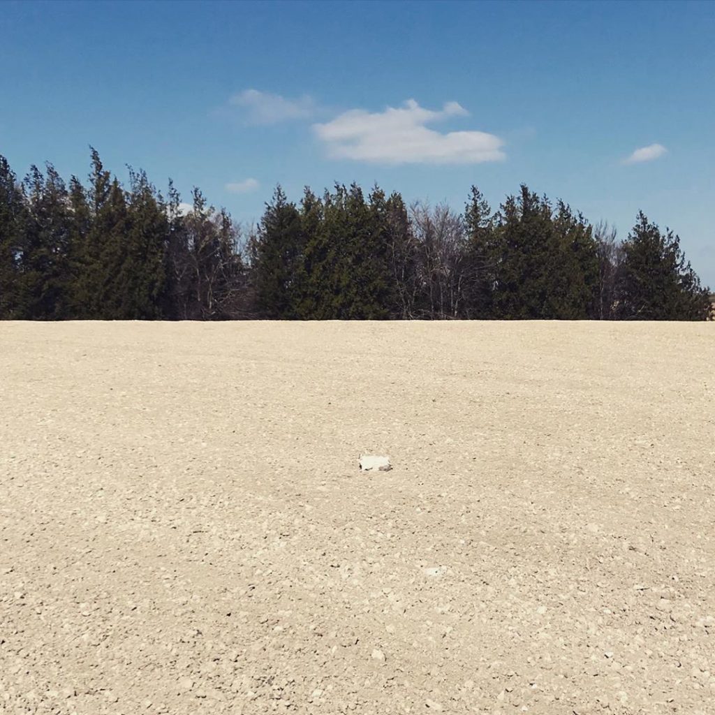 Does not look like the green fields of England I know, but the #chalkydownland #...