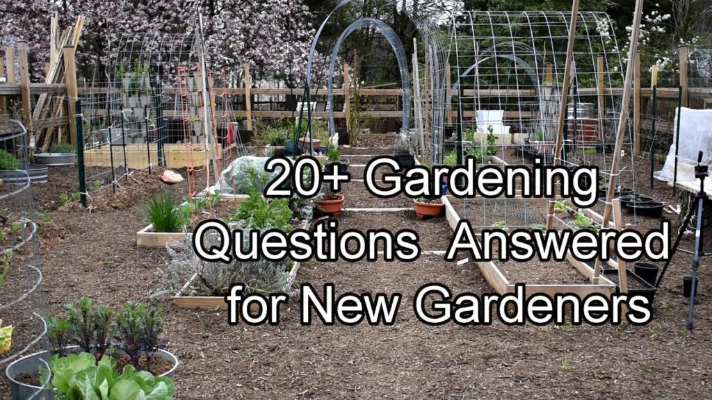 Gary Pilarchik: 20+ Frequently Ask Garden Questions Answered for New Gardeners: Questions listed in the Description! 20+ Frequently Ask Garden Questions Answered for New Gardeners: Questions listed in the Description!