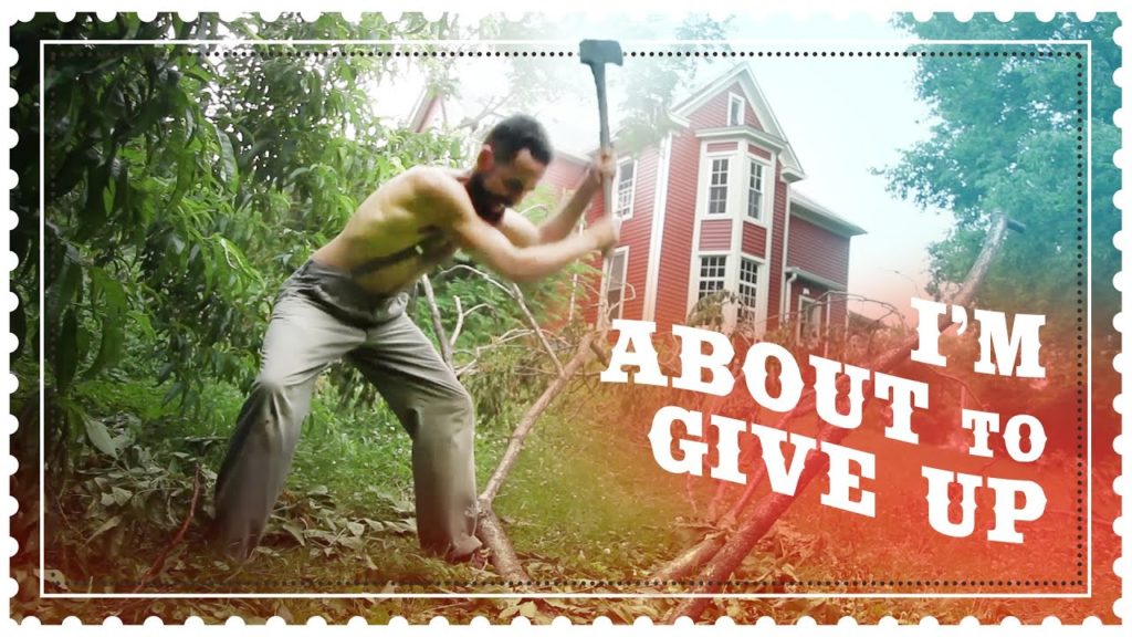 Disaster with my Peach Tree. Have I lost everything?