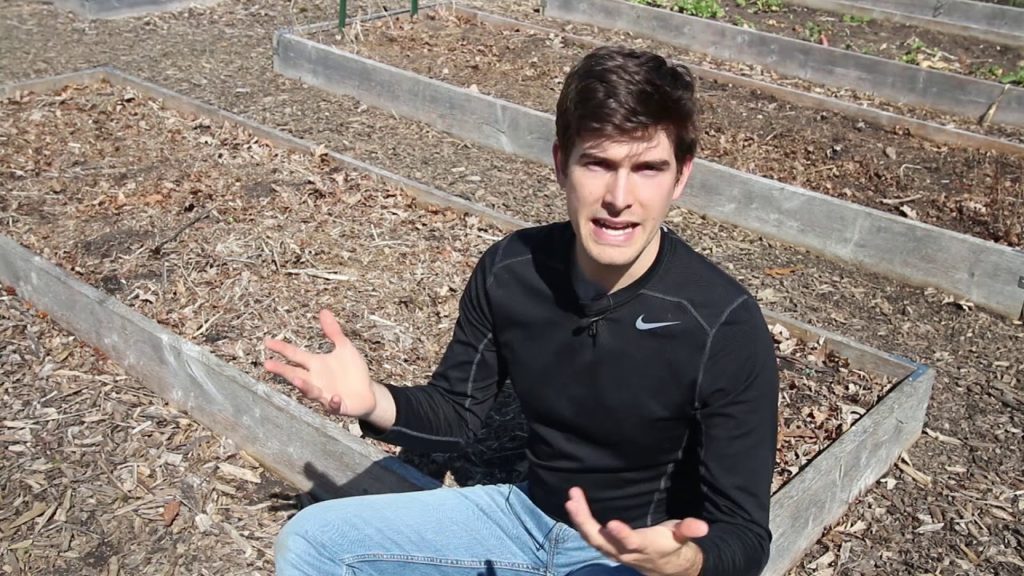 5 Tips to Starting A Low or No Cost Garden!