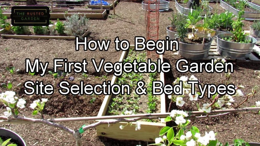 An Overview on How Do I Start My 'Emergency', 'Victory' or First Vegetable Garden: All the Same Way!