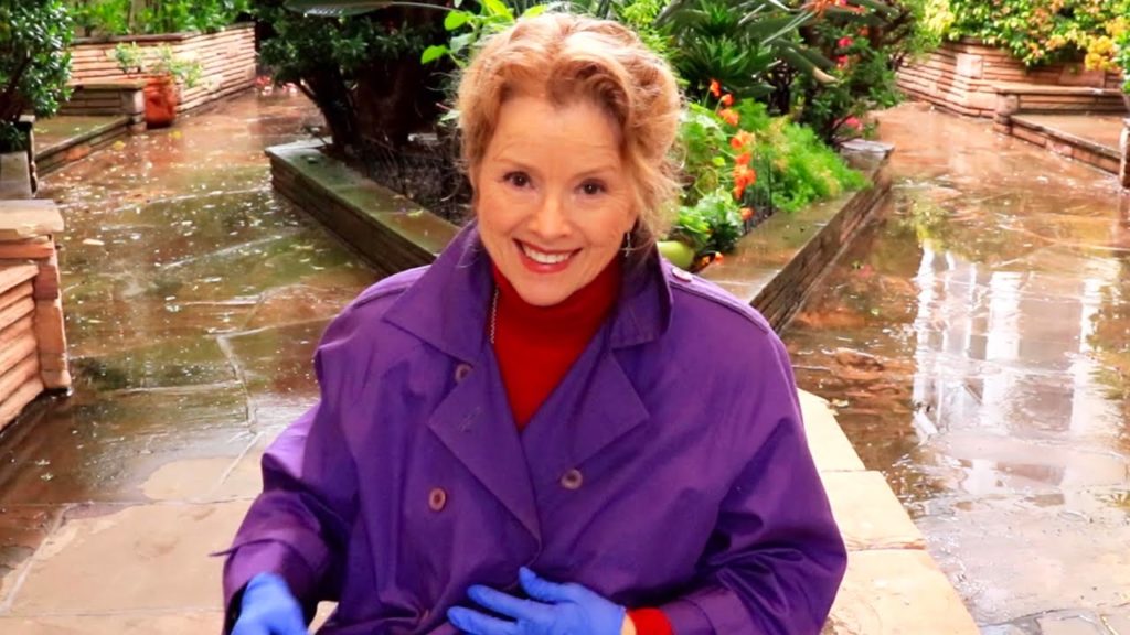 Rainy Garden MEDITATION (thoughts, flowers, and a purple raincoat)