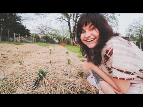 Roots and Refuge Farm: Take my evening farm walk with me. | VLOG Take my evening farm walk with me. | VLOG