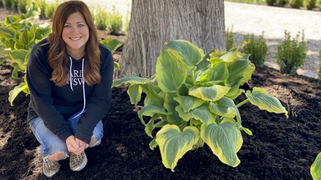 Garden Answer: Planting Some Gorgeous Hostas! 🌿💚// Garden Answer Planting Some Gorgeous Hostas! 🌿💚// Garden Answer