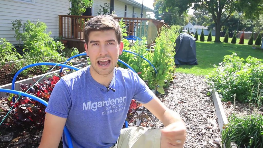 Why I Don’t Use Weed Fabric Under My Raised Beds