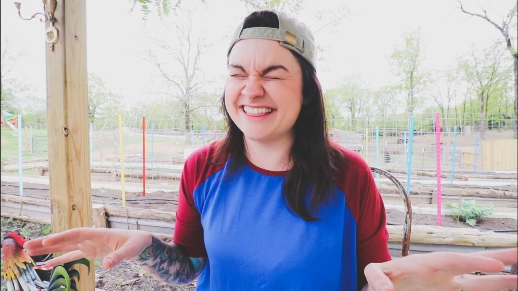 Roots and Refuge Farm: Our beehive SWARMED (and I can't keep the garden from you) | VLOG Our beehive SWARMED (and I can't keep the garden from you) | VLOG