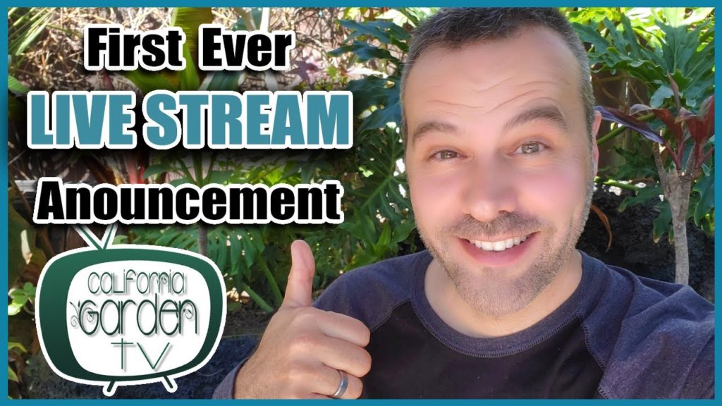 First Ever Live Stream Announcement!! Your Garden Questions Answered