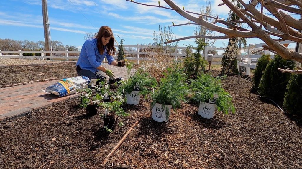 More Plants for the Moon Garden! 😍// Garden Answer