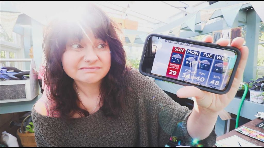 Roots and Refuge Farm: Planted Too Soon? | Protecting the Garden from FROST Planted Too Soon? | Protecting the Garden from FROST