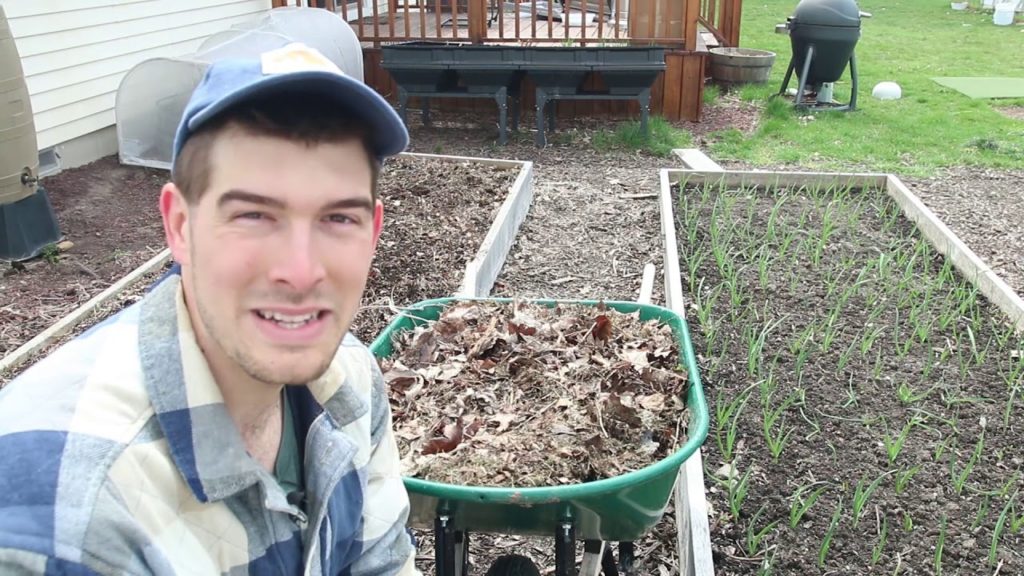 MIgardener: 8 Crops You Can Direct Sow and Grow In April 8 Crops You Can Direct Sow and Grow In April