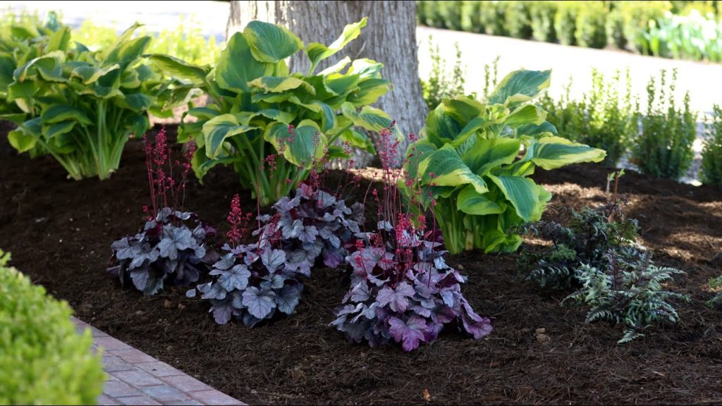 Planting Shade Loving Perennials! 🌿💚// Garden Answer