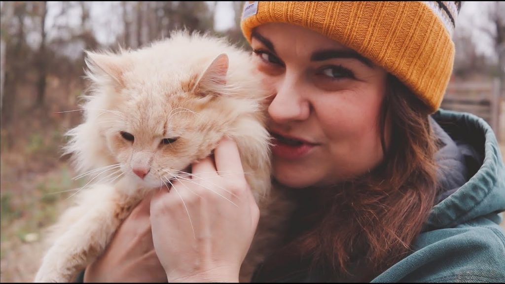 Kitten George, It's Better This Way | VLOG | Roots and Refuge