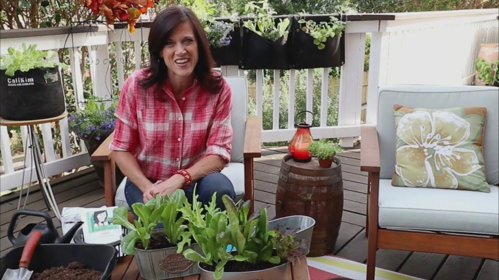 CaliKim: 🍅 LIVE: Ask me your Garden Questions (REPLAY) 🍅 LIVE: Ask me your Garden Questions (REPLAY)