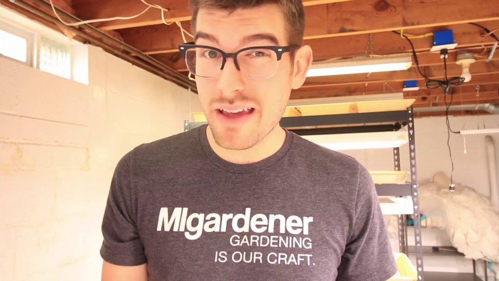 Microgreen Basics - Good & Bad Microgreen Choices