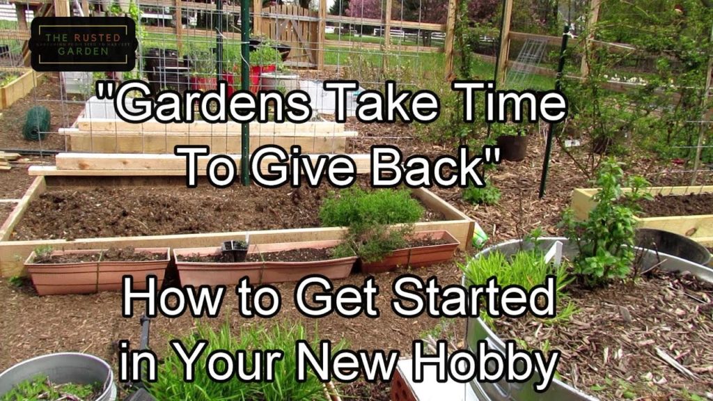Before You Start an  'Emergency' Garden: An Orientation for New Gardeners - Learn, Enjoy, Try + Grow