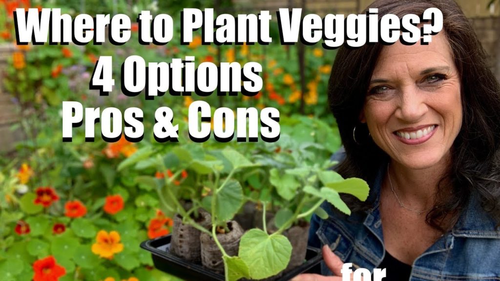 Planting Vegetables in Raised Beds, Containers, In-Ground - Pros and Cons of Each/Spring Garden #9