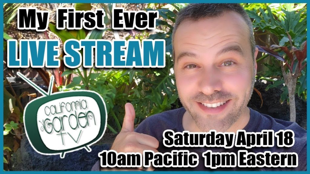California Garden TV: First Ever LIVE STREAM – Live Gardening Q & A First Ever LIVE STREAM - Live Gardening Q & A
