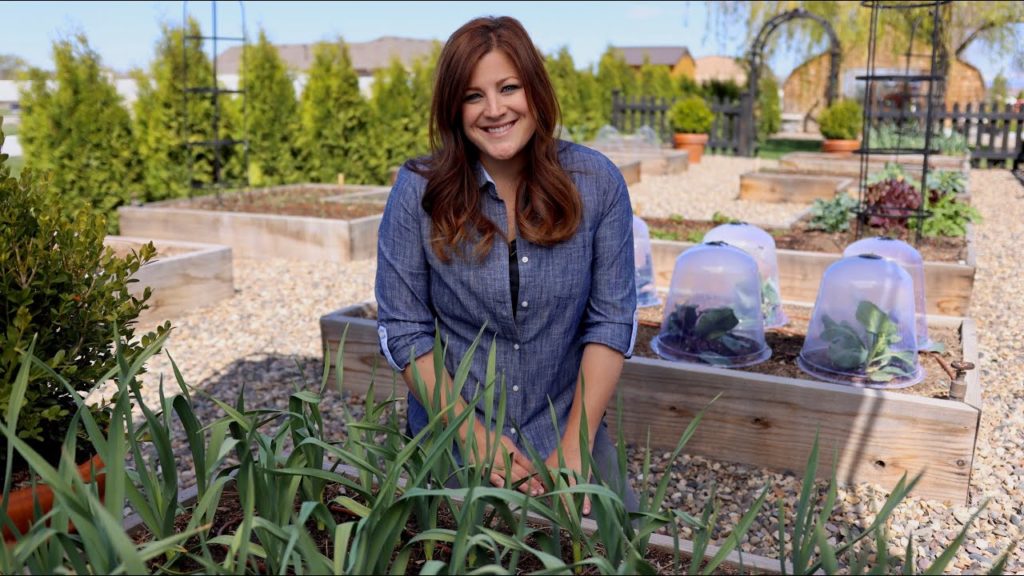 Garden Answer: Raised Beds Guide for Beginners! 🤔👩🌾// Garden Answer Raised Beds Guide for Beginners! 🤔👩🌾// Garden Answer