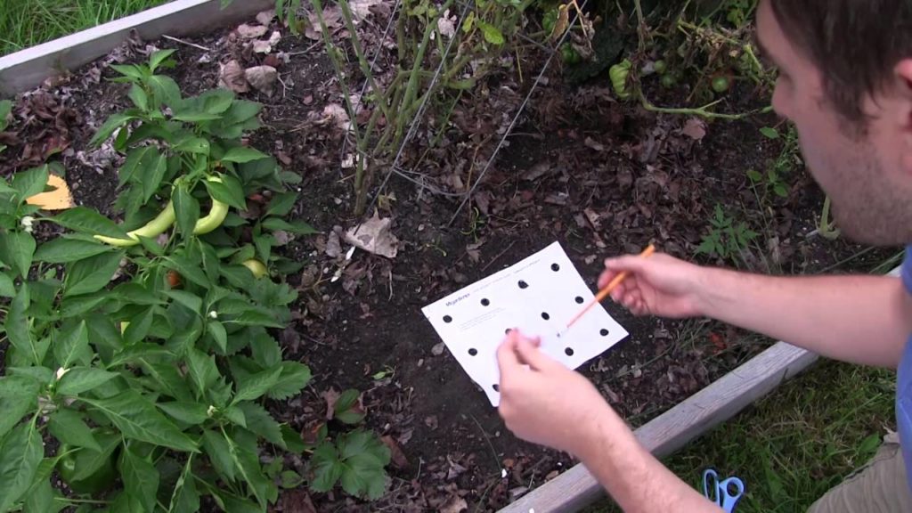 MIgardener: Perfect Spacing Every Time – Save Time, Money, and Seed! Perfect Spacing Every Time - Save Time, Money, and Seed!