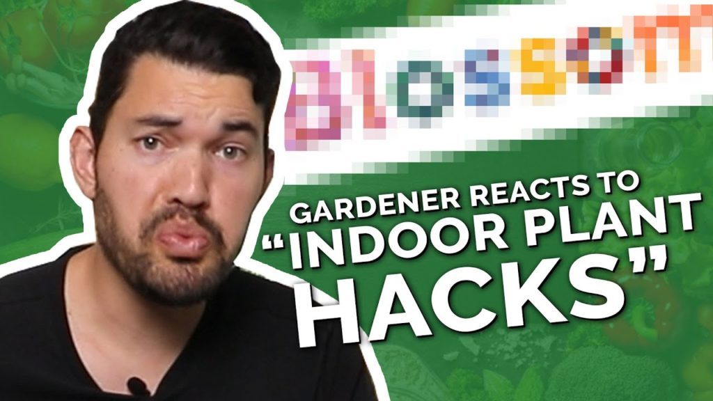 Epic Gardening: Gardener Reacts to "Indoor Gardening Hacks" Gardener Reacts to "Indoor Gardening Hacks"