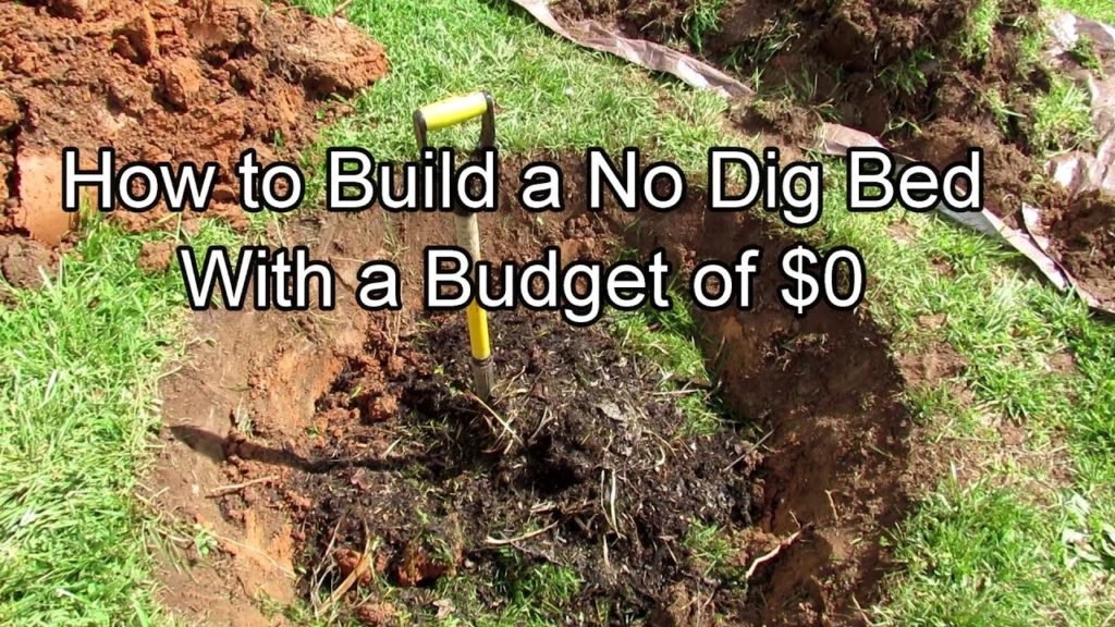 For New Gardeners - How to Make a No Dig Garden Bed on a $0 Budget & Nothing Bought: All the Steps!