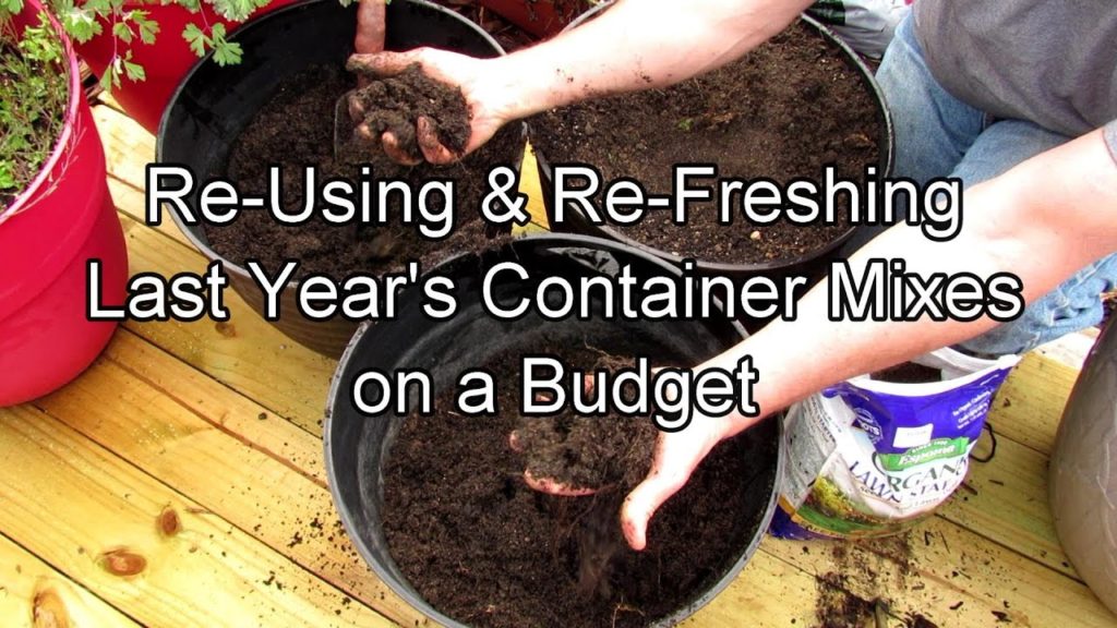 Gary Pilarchik: Refreshing & Reusing Last Year's Garden Container Mixes on a Budget: 3 Examples, Materials & Method Refreshing & Reusing Last Year's Garden Container Mixes on a Budget: 3 Examples, Materials & Method