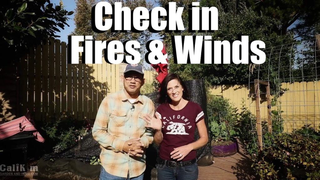 CaliKim: Fires, Wind, Check In // Beyond the Garden #5 Fires, Wind, Check In // Beyond the Garden #5