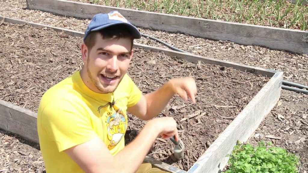 Before You Build Raised Beds Watch This Video