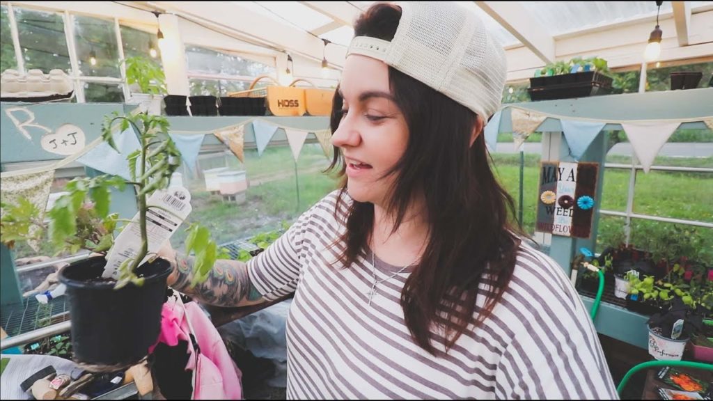 Roots and Refuge Farm: I got stung ON MY HEAD (And our fruitful vertical planter plans) | VLOG I got stung ON MY HEAD (And our fruitful vertical planter plans) | VLOG