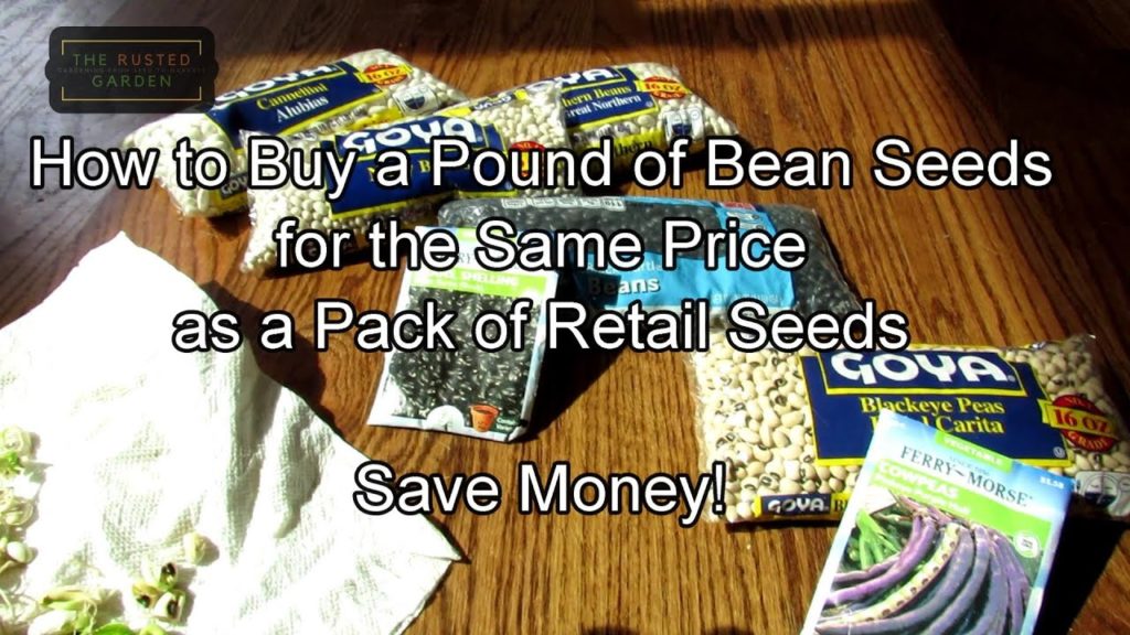 Gary Pilarchik: The Budget Garden: How to Buy a Pound of Bean Seeds for the Price of a Pack of Seeds – Seeds 4 Years The Budget Garden: How to Buy a Pound of Bean Seeds for the Price of a Pack of Seeds - Seeds 4 Years