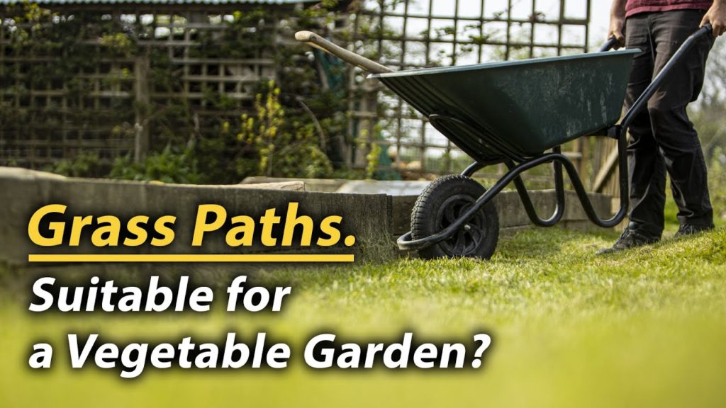 Huw Richards: Why This Vegetable Garden Has Grass Paths | Pros, Cons and My Favourite Alternative Why This Vegetable Garden Has Grass Paths | Pros, Cons and My Favourite Alternative
