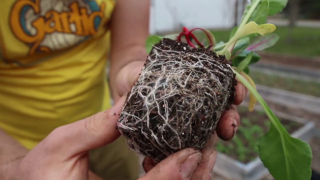 I Made an Entire Video Without Talking Because You Asked