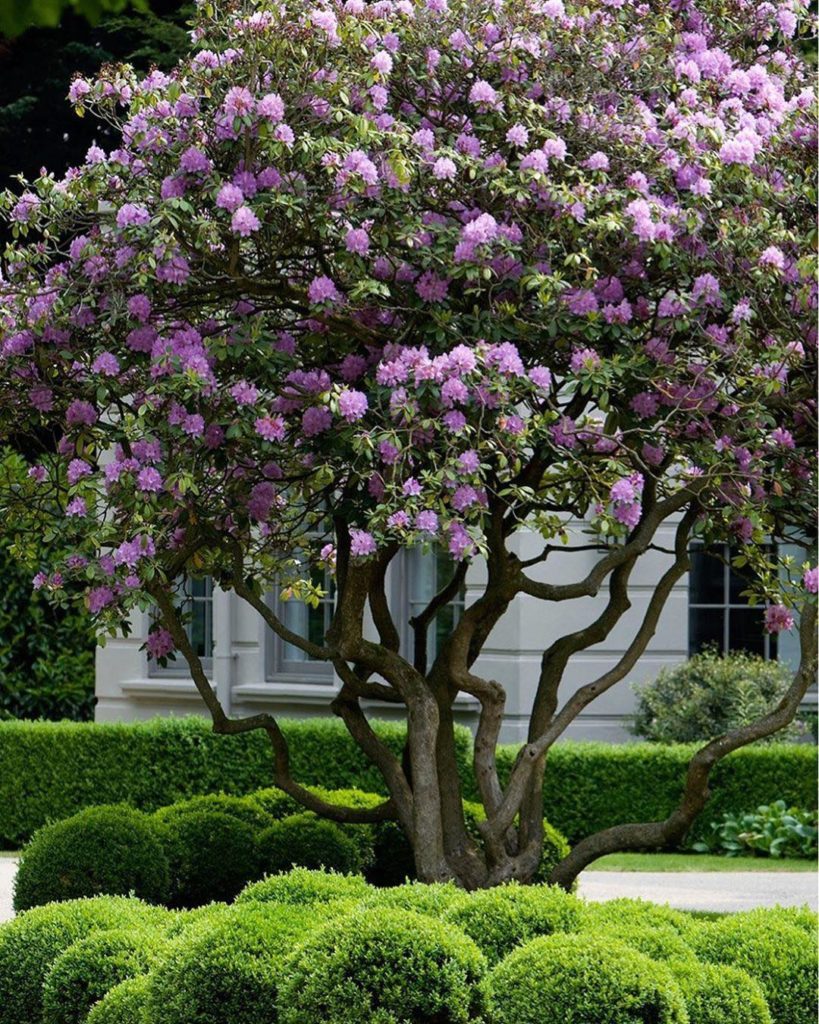 Repost of one of my gardens that @thelistbyhouseandgarden posted yesterday. Than...