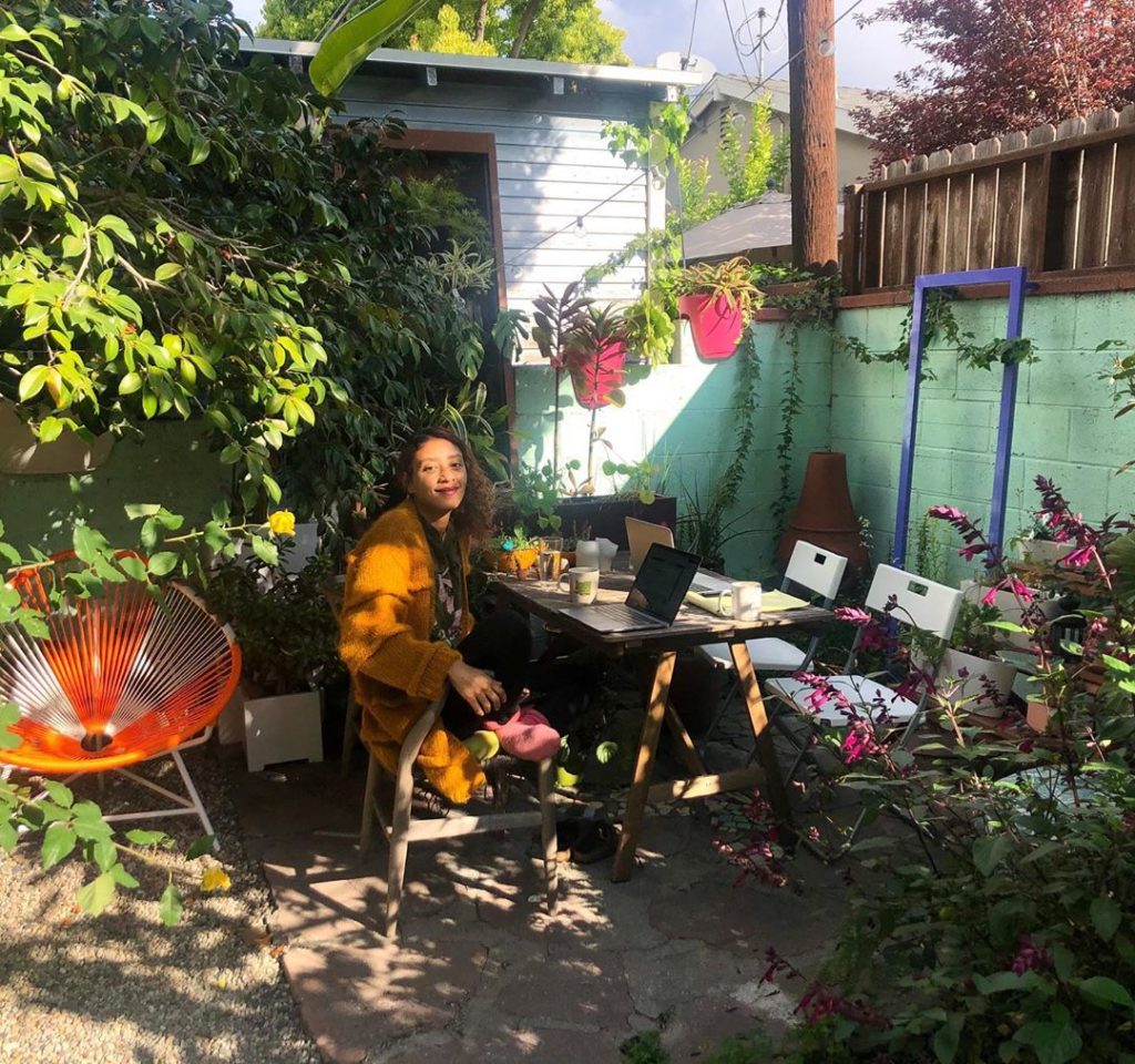 Office life  Day 11 working from home, sun lighting up the spot for morning  and...