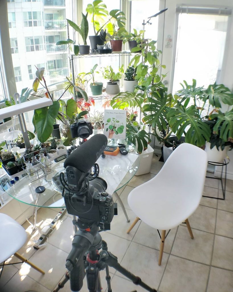 Going Live at 11am EST! 2️⃣ I got your questions this time - and I...