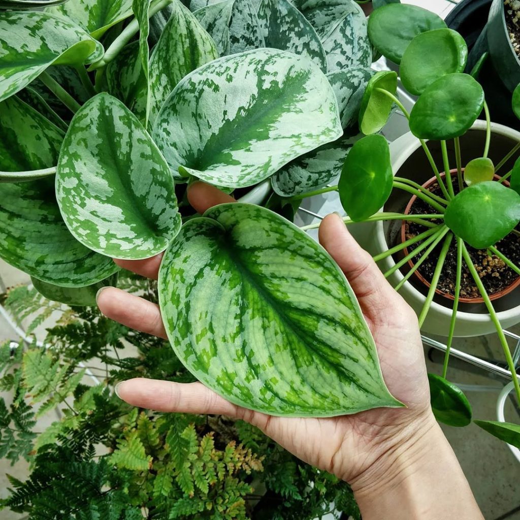 Thursday's IG Live went very well! Thank you all for joining and for inviting me...