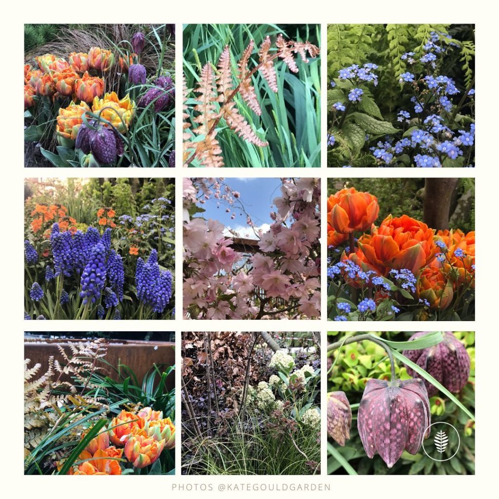 It was definitely a bold scheme!  Clashy & bright & full of joy. Planting that w...