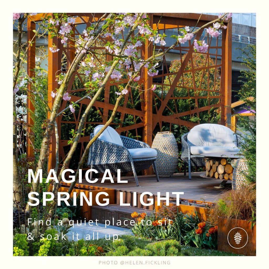 kategouldgardens: Its so nice to sit in the garden (or indeed any outdoor space) in the sunshine. … Its so nice to sit in the garden (or indeed any outdoor space) in the sunshine. ...