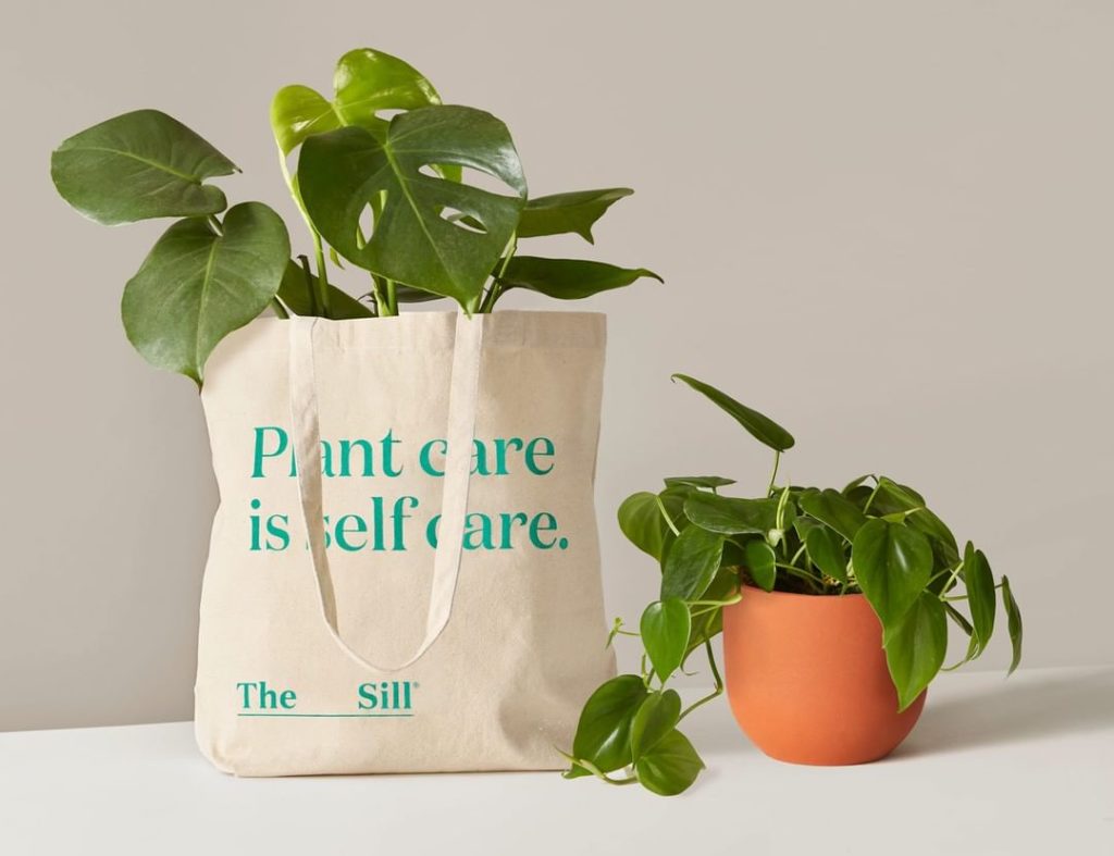 #PlantCareIsSelfCare  Get our brand new tote for free with any online purchase o...