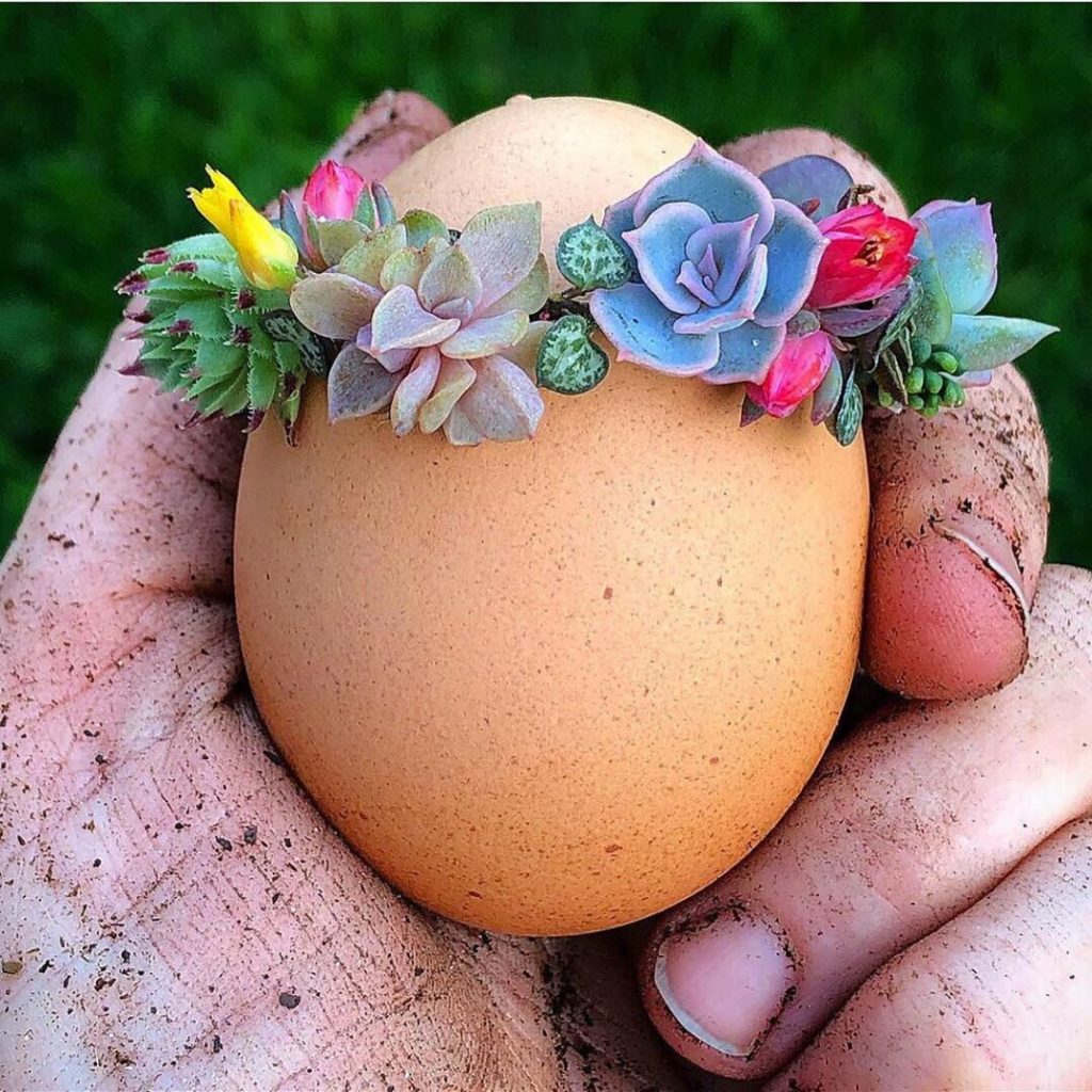 Happy Easter Everyone! Sending you my love!  #heisrisen (: @arozona)...