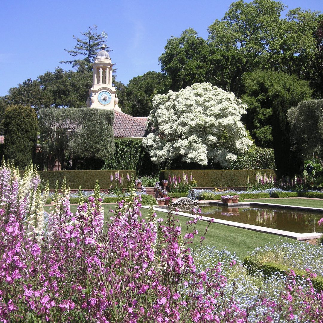 gardendesignmag: Have you ever experienced springtime at @_filoli? . to
