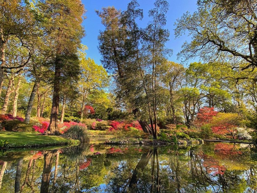 Who needs @whereswally._ ?... we’ve got #WheresWillow?! ...